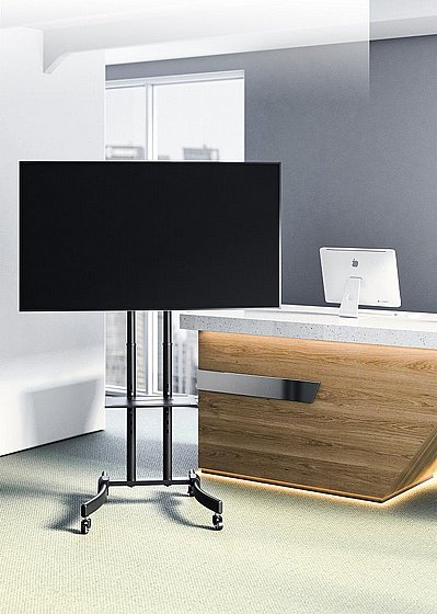���� ����� ��������� �� 75" EAZO IR65