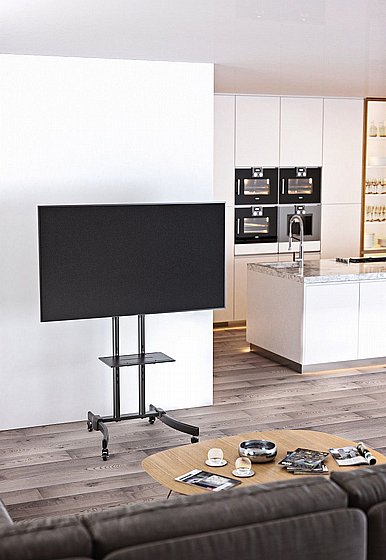 ���� ����� ��������� �� 75" EAZO IR65