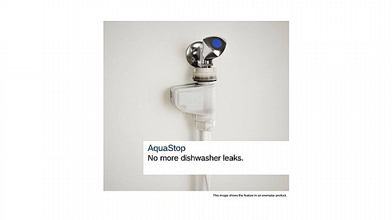 ���� ���� ��� �������� ��� Bosch Serie 4 SMV4ENX06E