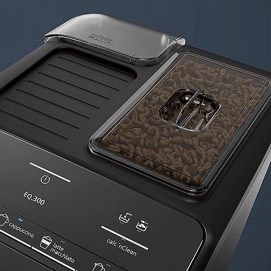 ����� ��� �������� Siemens ����� EQ.300 TI351209RW
